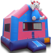 fashion inflatable bouncer